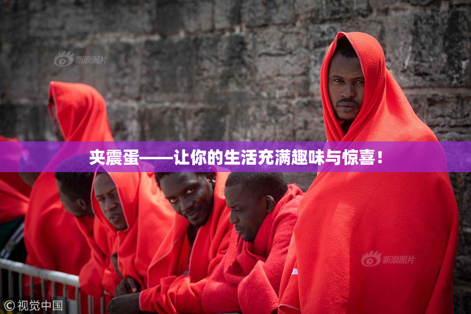 夹震蛋——让你的生活充满趣味与惊喜！