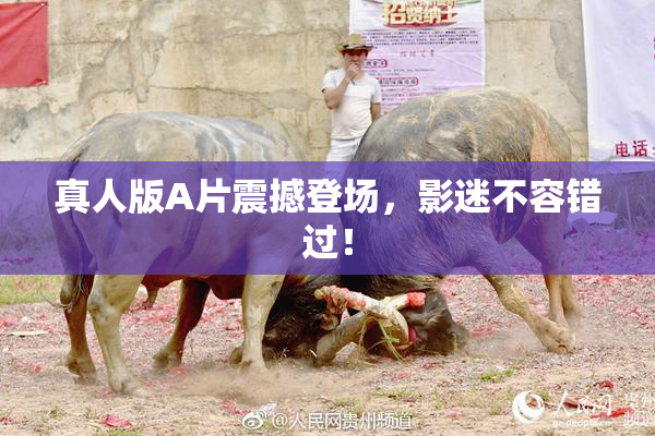 真人版A片震撼登场，影迷不容错过！