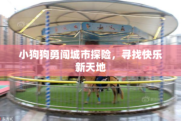 小狗狗勇闯城市探险，寻找快乐新天地
