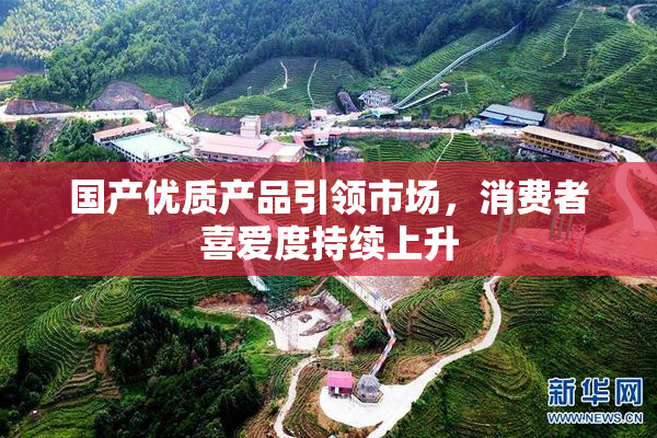 国产优质产品引领市场，消费者喜爱度持续上升