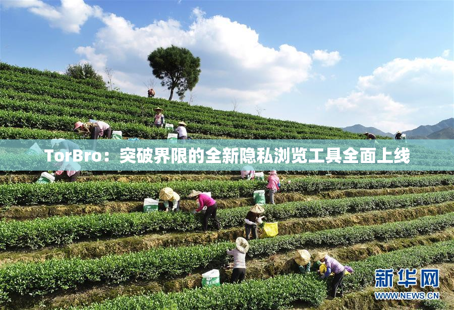 TorBro：突破界限的全新隐私浏览工具全面上线