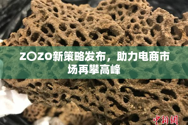 Z〇ZO新策略发布，助力电商市场再攀高峰