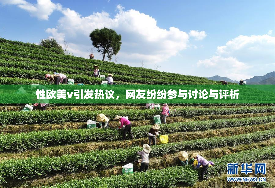 性欧美v引发热议，网友纷纷参与讨论与评析