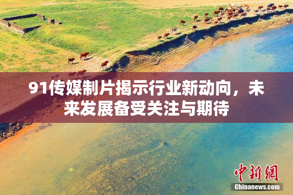 91传媒制片揭示行业新动向，未来发展备受关注与期待