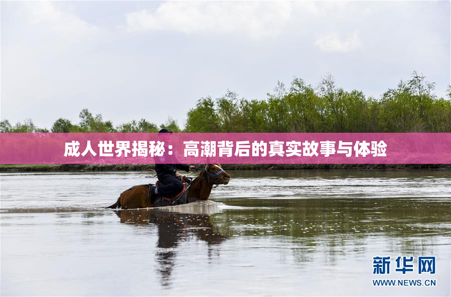 成人世界揭秘：高潮背后的真实故事与体验