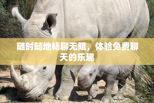 随时随地畅聊无阻，体验免费聊天的乐趣