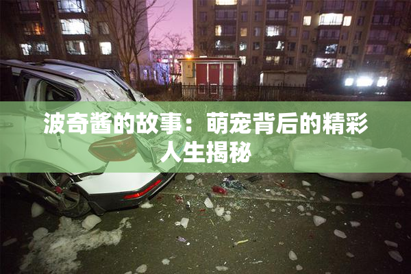 波奇酱的故事：萌宠背后的精彩人生揭秘