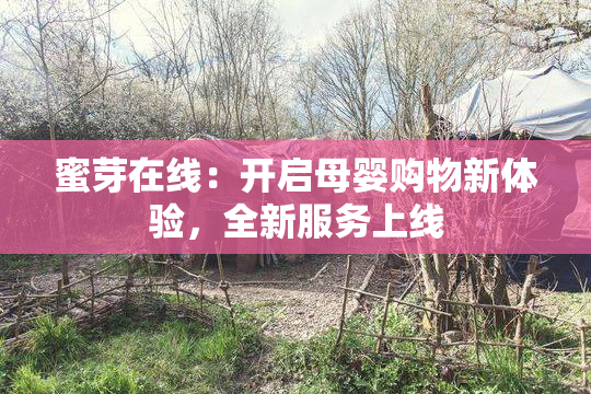 蜜芽在线：开启母婴购物新体验，全新服务上线