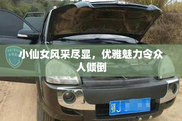 小仙女风采尽显，优雅魅力令众人倾倒