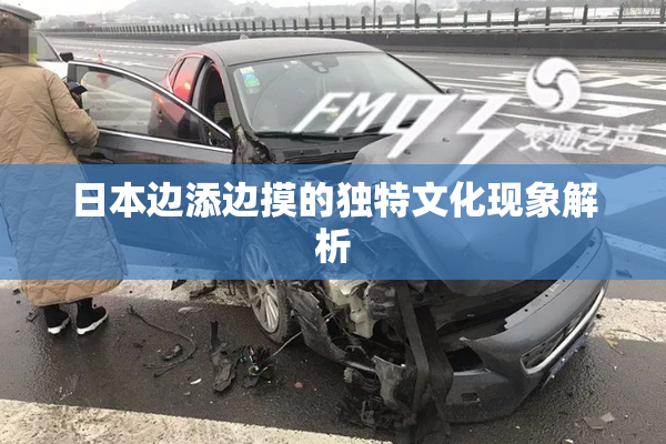 日本边添边摸的独特文化现象解析
