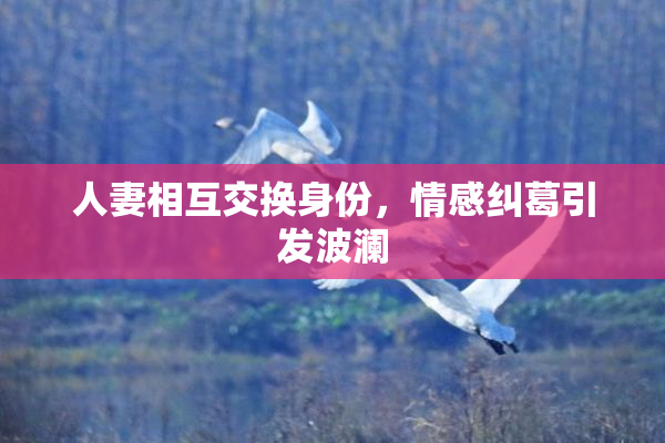 人妻相互交换身份，情感纠葛引发波澜