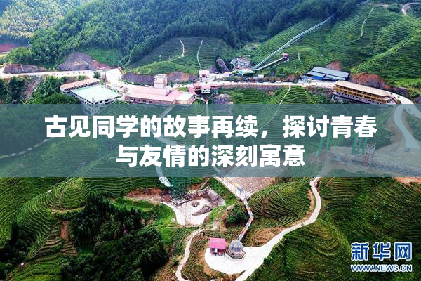 古见同学的故事再续，探讨青春与友情的深刻寓意