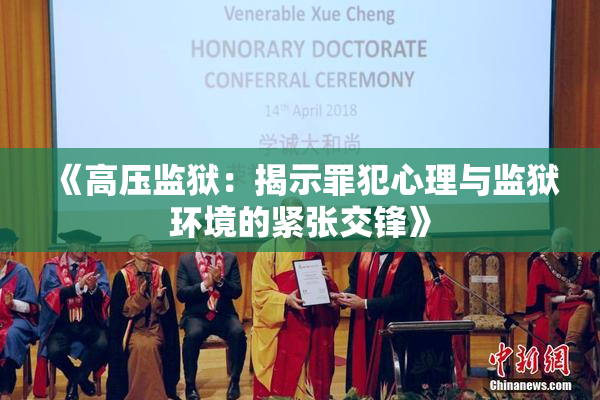 《高压监狱：揭示罪犯心理与监狱环境的紧张交锋》