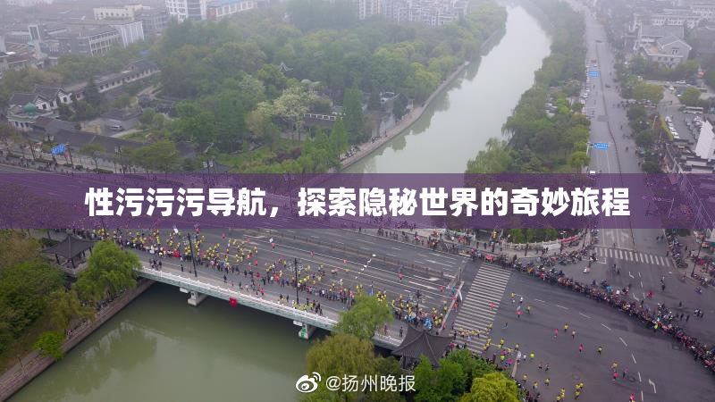 性污污污导航，探索隐秘世界的奇妙旅程