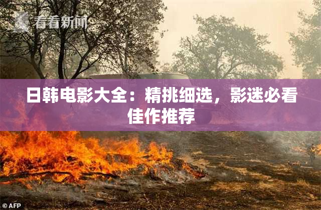 日韩电影大全：精挑细选，影迷必看佳作推荐