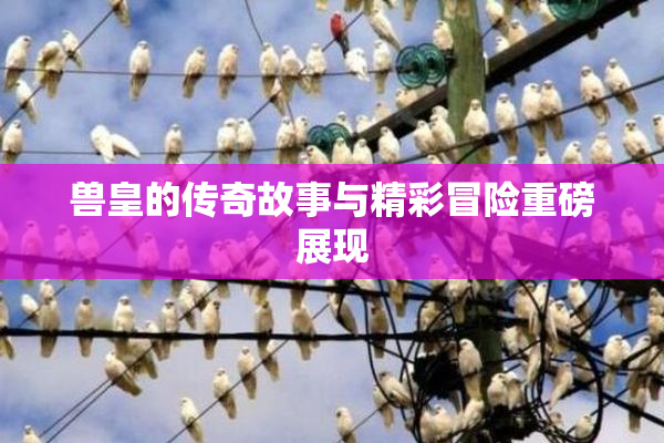 兽皇的传奇故事与精彩冒险重磅展现