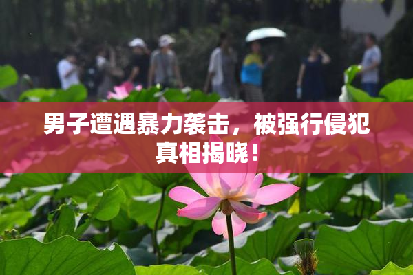 男子遭遇暴力袭击，被强行侵犯真相揭晓！