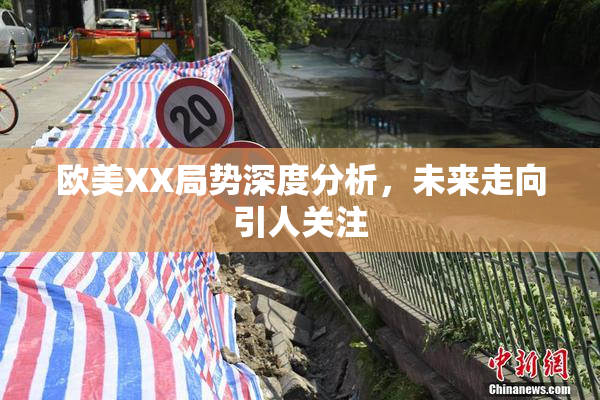 欧美XX局势深度分析，未来走向引人关注