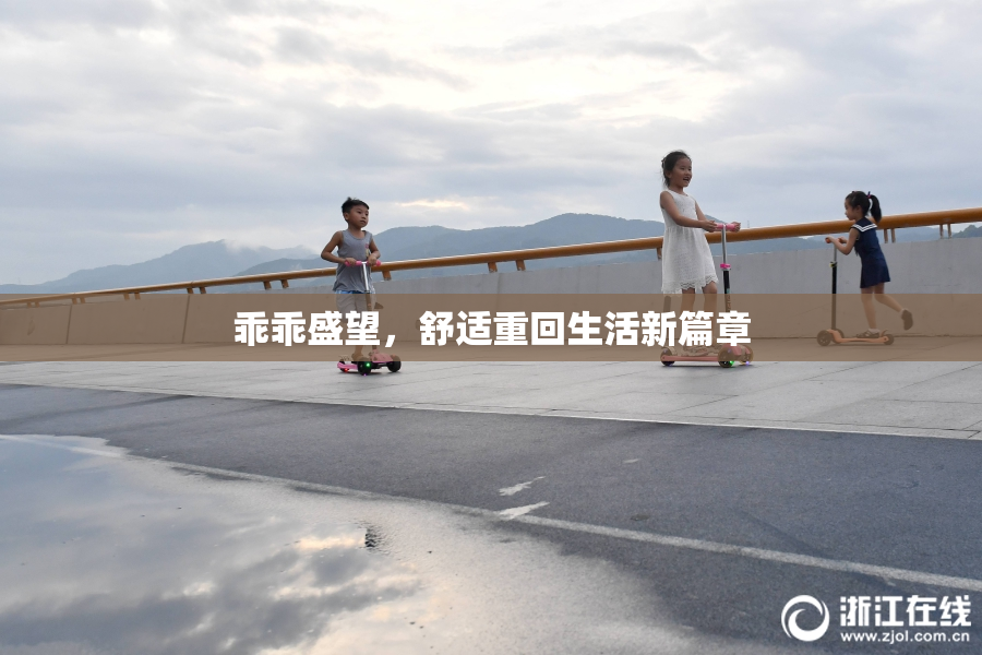 乖乖盛望，舒适重回生活新篇章