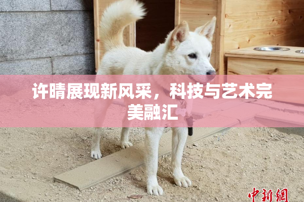 许晴展现新风采，科技与艺术完美融汇
