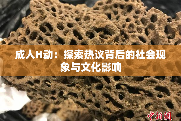 成人H动：探索热议背后的社会现象与文化影响
