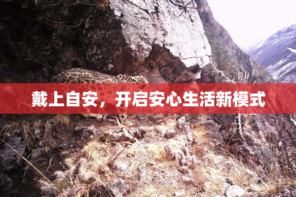 戴上自安，开启安心生活新模式