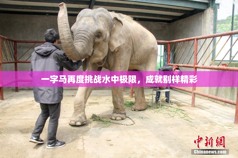 一字马再度挑战水中极限，成就别样精彩