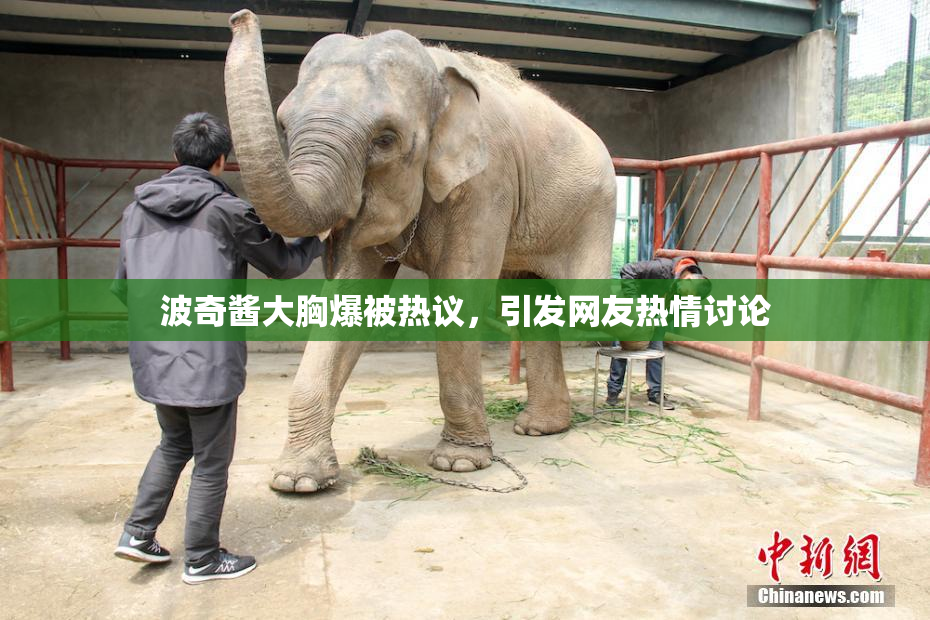 波奇酱大胸爆被热议，引发网友热情讨论