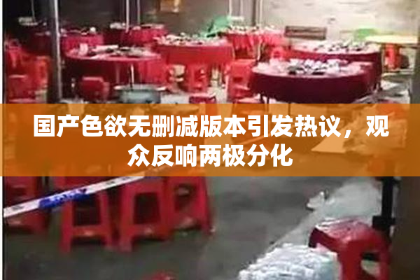 国产色欲无删减版本引发热议，观众反响两极分化
