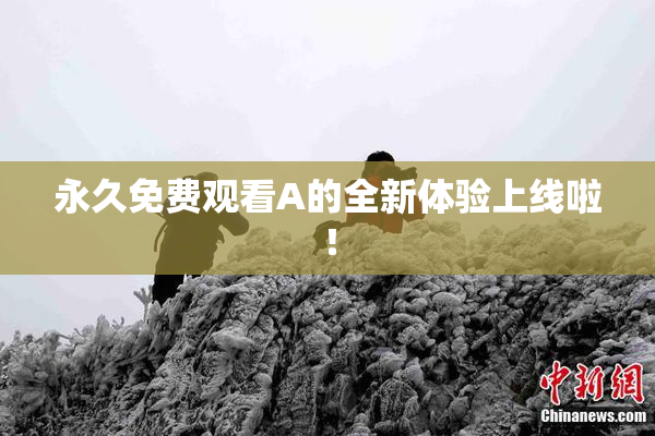 永久免费观看A的全新体验上线啦！