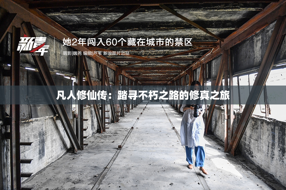 凡人修仙传：踏寻不朽之路的修真之旅