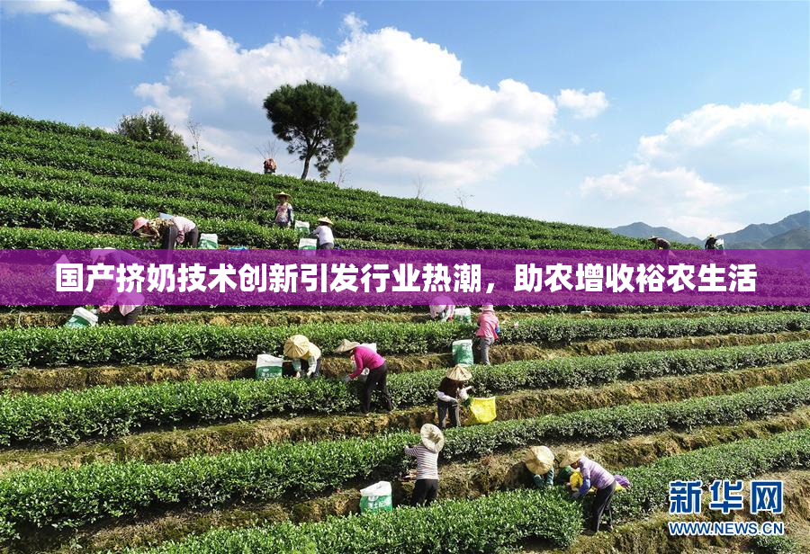 国产挤奶技术创新引发行业热潮，助农增收裕农生活