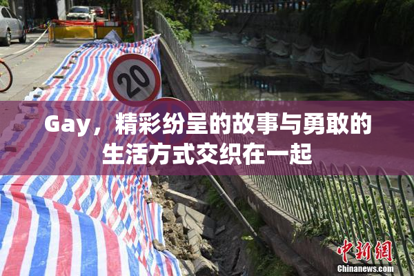 Gay，精彩纷呈的故事与勇敢的生活方式交织在一起