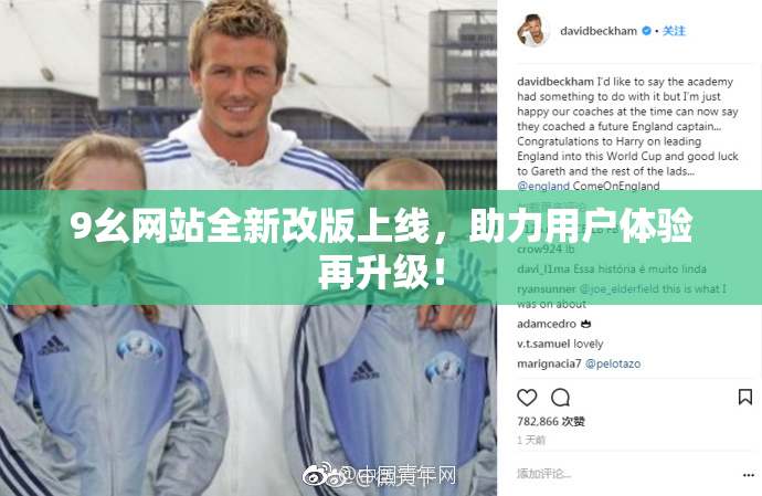9幺网站全新改版上线，助力用户体验再升级！
