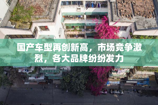 国产车型再创新高，市场竞争激烈，各大品牌纷纷发力