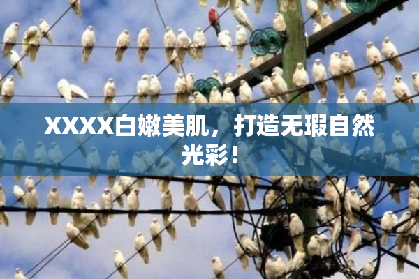 XXXX白嫩美肌，打造无瑕自然光彩！