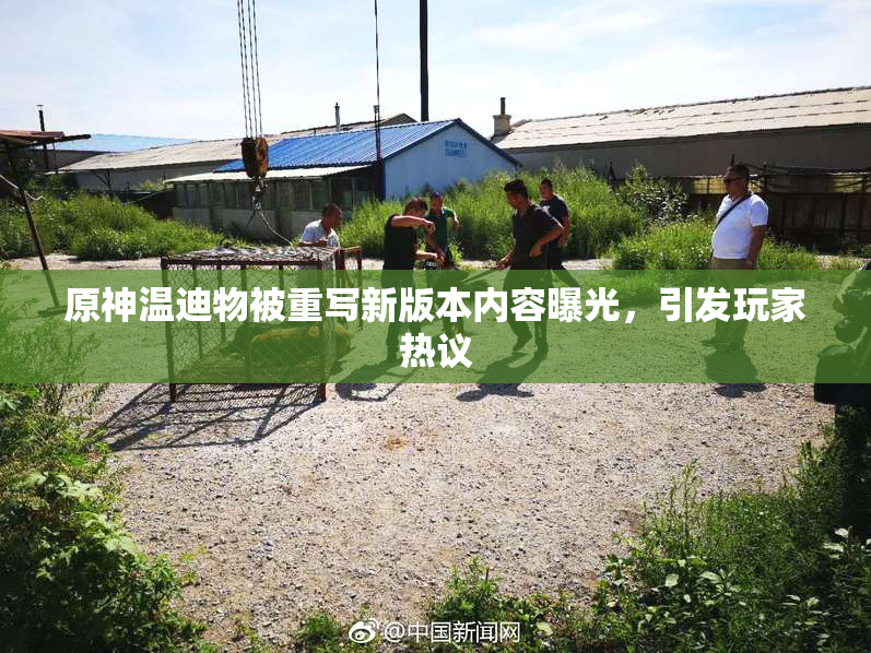 原神温迪物被重写新版本内容曝光，引发玩家热议