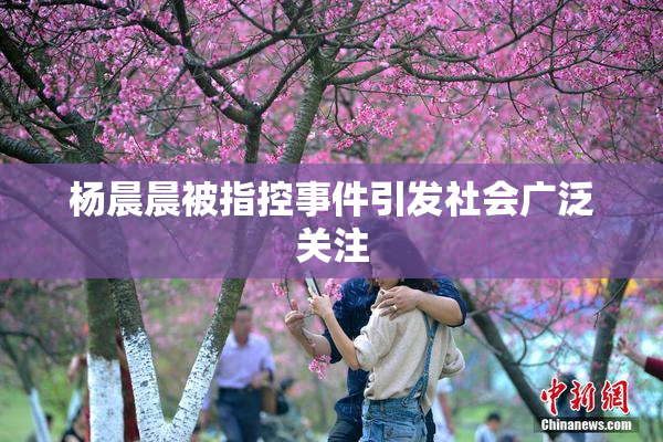 杨晨晨被指控事件引发社会广泛关注