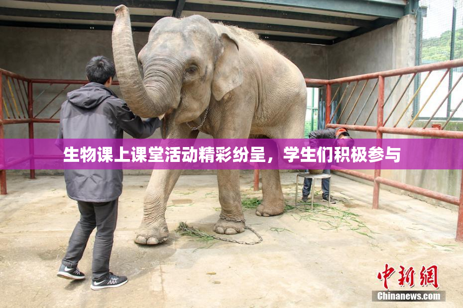 生物课上课堂活动精彩纷呈，学生们积极参与