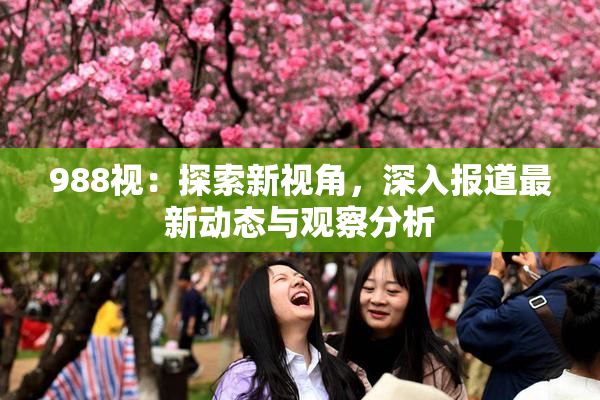 988视：探索新视角，深入报道最新动态与观察分析