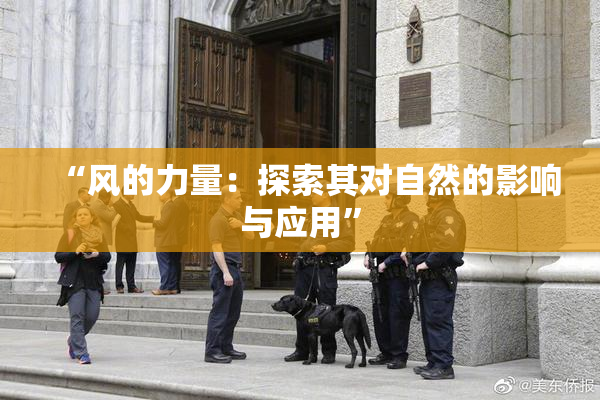 “风的力量：探索其对自然的影响与应用”
