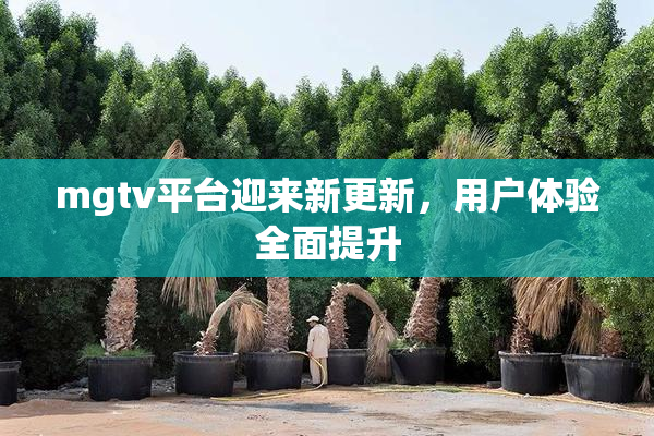 mgtv平台迎来新更新，用户体验全面提升