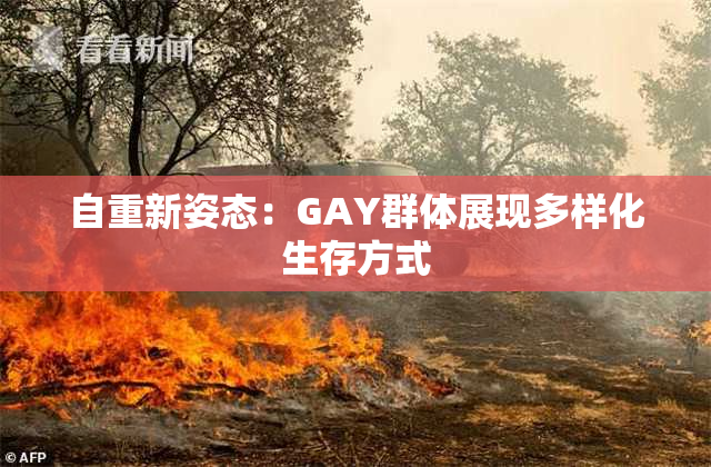 自重新姿态：GAY群体展现多样化生存方式