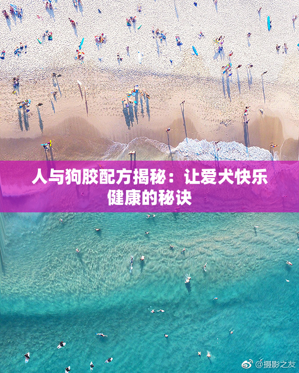 人与狗胶配方揭秘：让爱犬快乐健康的秘诀