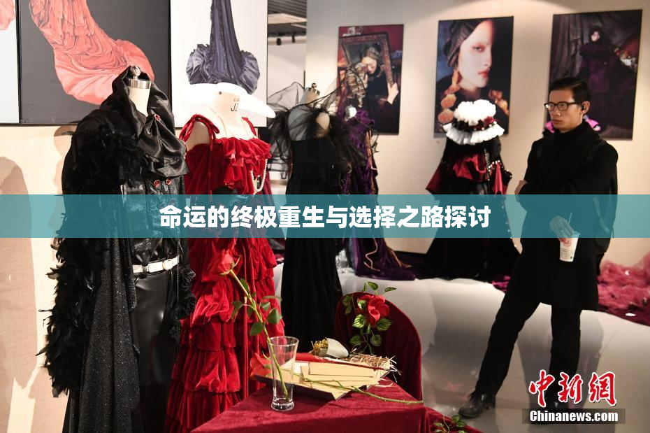 命运的终极重生与选择之路探讨