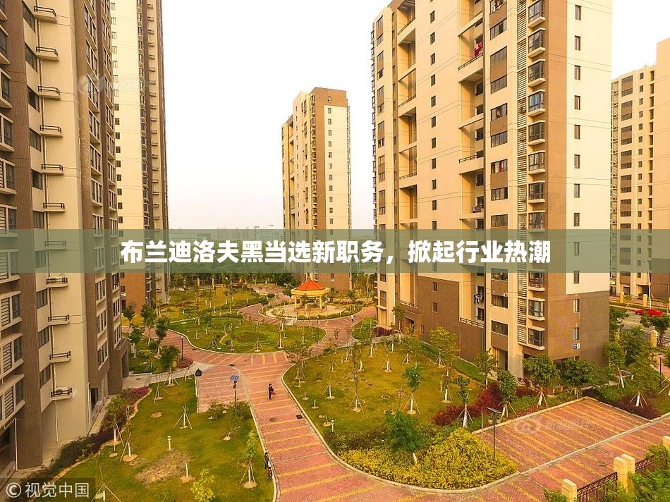 布兰迪洛夫黑当选新职务，掀起行业热潮