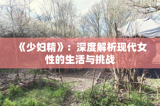 《少妇精》：深度解析现代女性的生活与挑战