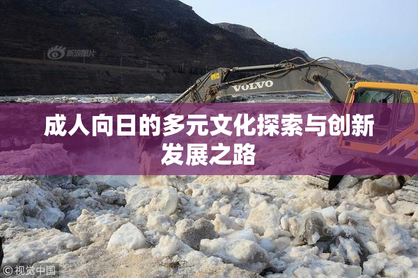 成人向日的多元文化探索与创新发展之路