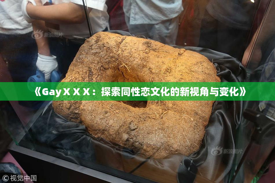 《GayⅩⅩⅩ：探索同性恋文化的新视角与变化》