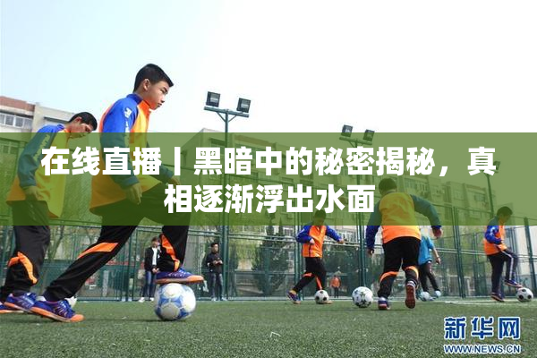 在线直播丨黑暗中的秘密揭秘，真相逐渐浮出水面